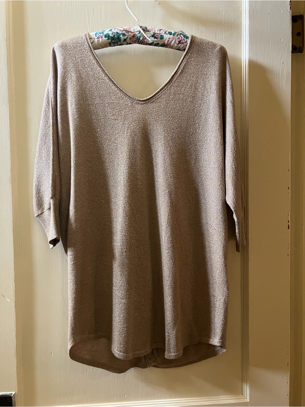 Express Taupe V-Neck Sweater